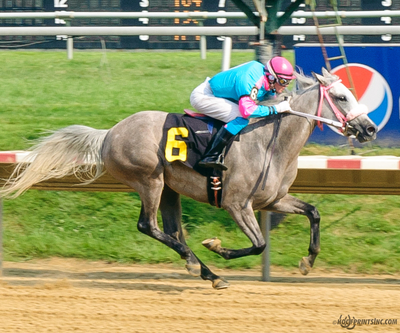 Taylors Touchof Class, Dahess x Toppoftheclass