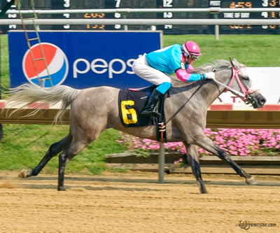 Taylors Touchof Class, Dahess x Toppoftheclass