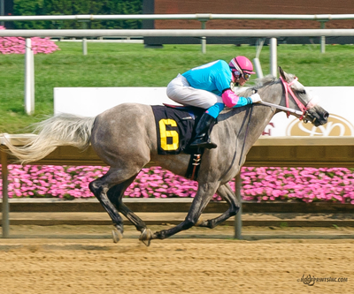 Taylors Touchof Class, Dahess x Toppoftheclass