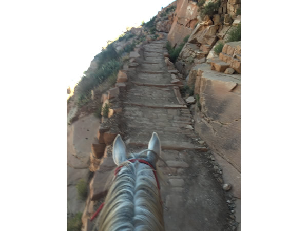 800 Miles on the Arizona Trail, Tiki Barber and Carol Fontana 
