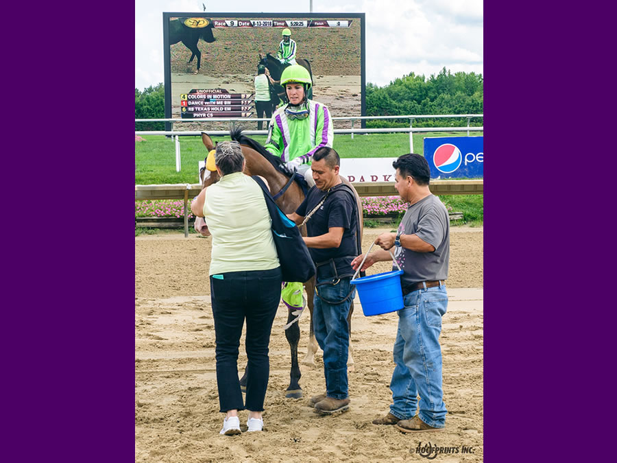 Colors In Motion - multiple race winner, Cre Run Farm