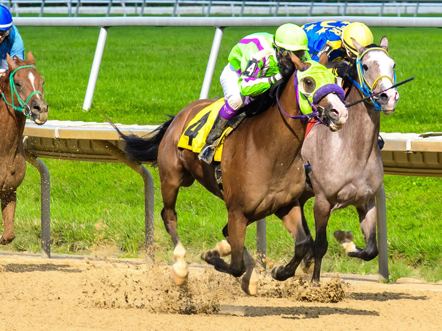 Colors In Motion - multiple race winner, Cre Run Farm