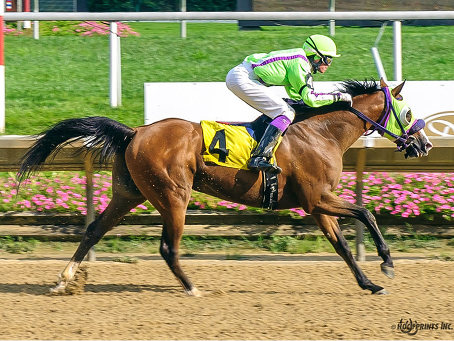 Colors In Motion - multiple race winner, Cre Run Farm