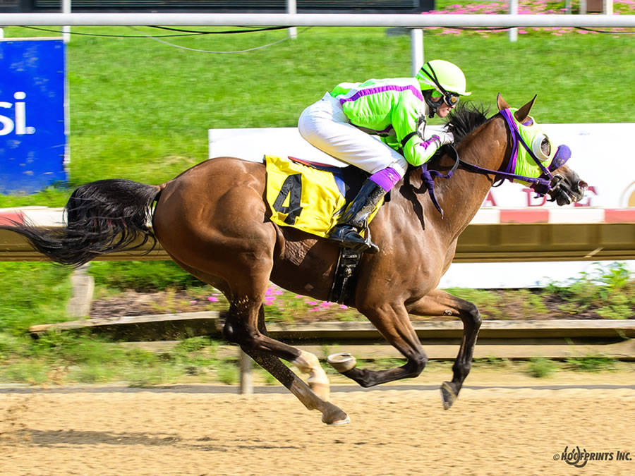 Colors In Motion - multiple race winner, Cre Run Farm