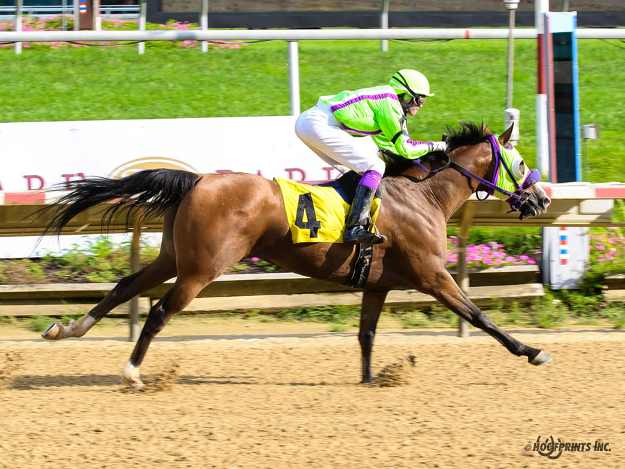 Colors In Motion - multiple race winner, Cre Run Farm