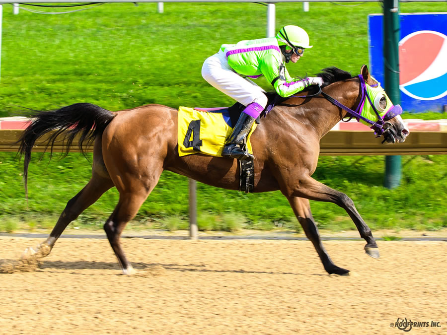 Colors In Motion - multiple race winner, Cre Run Farm