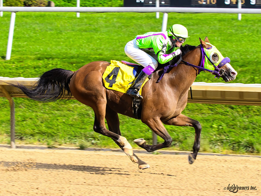 Colors In Motion - multiple race winner, Cre Run Farm