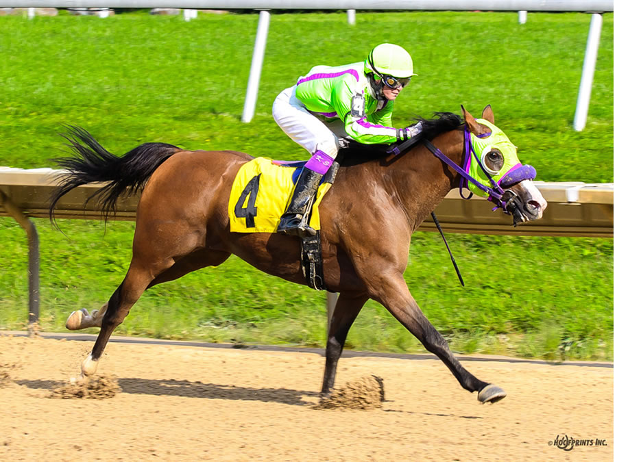 Colors In Motion - multiple race winner, Cre Run Farm